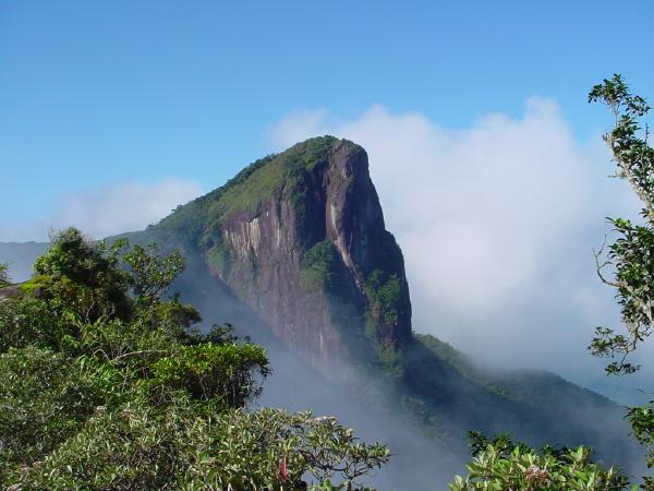 Corcovado de Ubatuba - SP