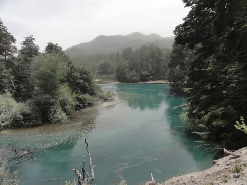 River from the Espejo Chico lake. The trees are covered by the ashes from the Puyehue Volcano.