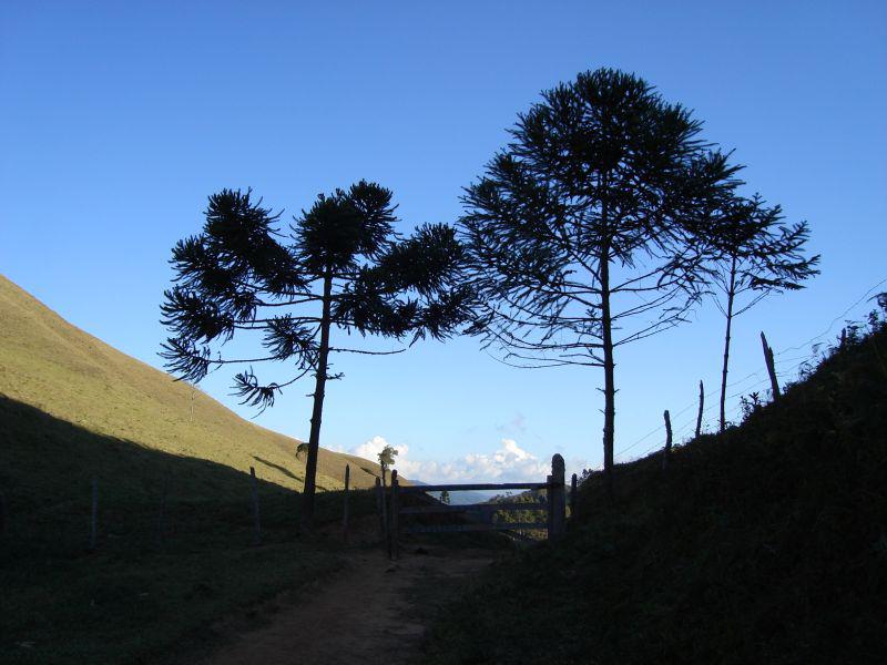 Campos do Alto da Serra da Bocaina