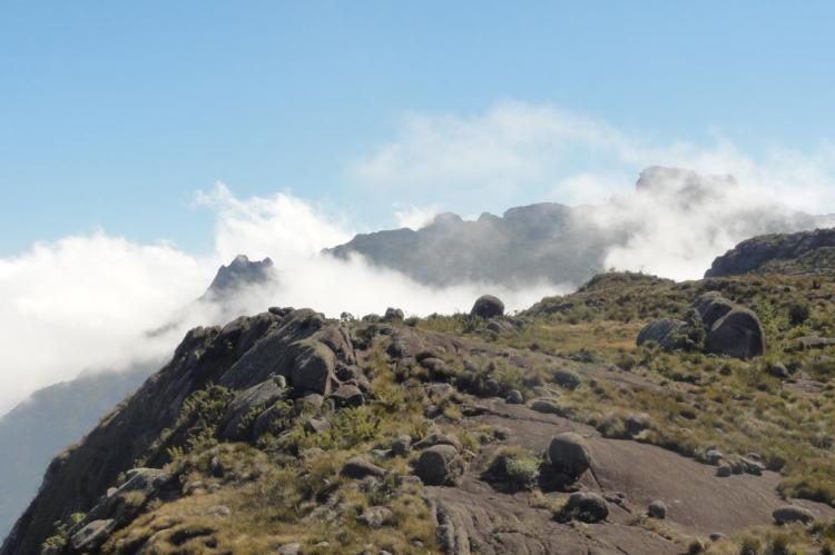 Vista desde as prateleiras