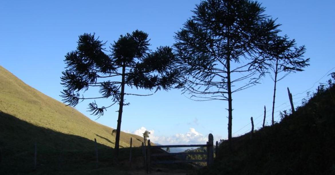 Trilha do Ouro na Serra da Bocaina